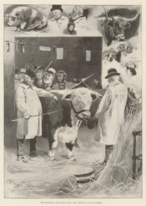 Mostra del bestiame del Club di Smithfield, il campione e i suoi ammiratori